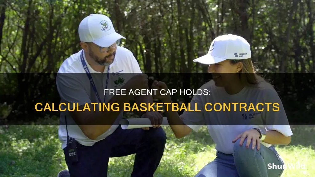 how to calculate free agent cap hold basketball