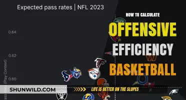 Basketball Offensive Efficiency: Calculating Your Team's Success