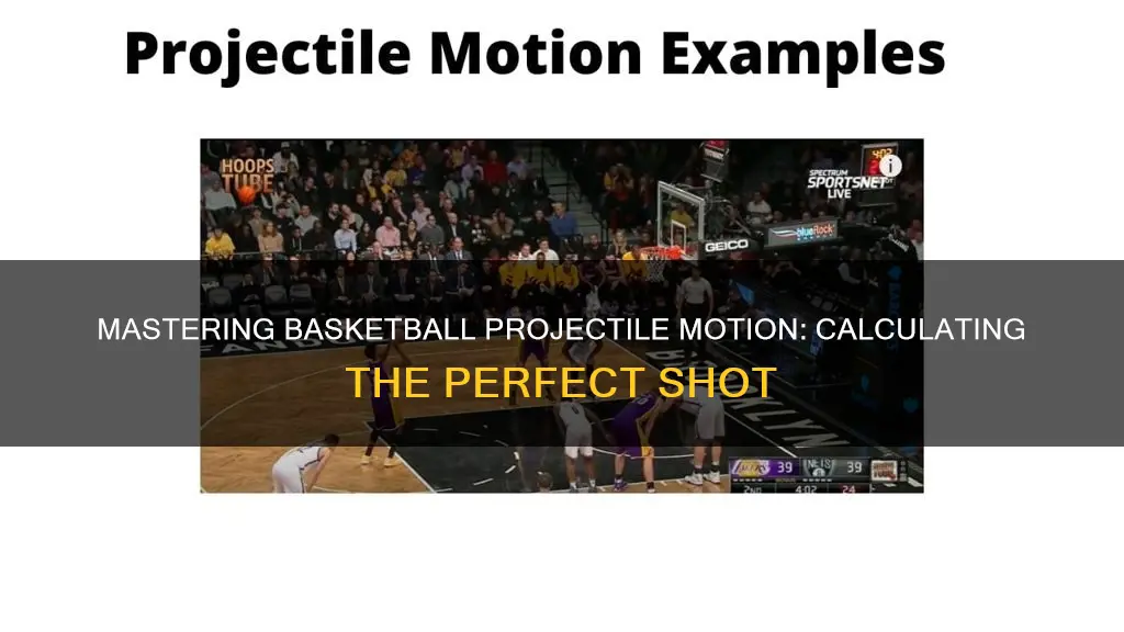 how to calculate projectile motion in basketball