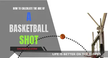 Calculating Basketball Arcs: The Science of Hoops