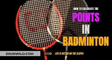 Understanding Badminton Scoring System