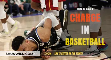 Charges in Basketball: Calling the Fouls