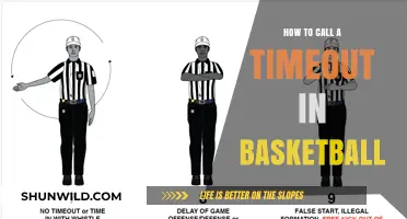 Calling Timeouts: Basketball Strategy 101