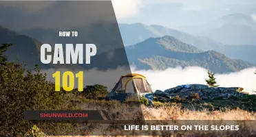 Essential Camping Basics: Your Ultimate Guide to Outdoor Adventures