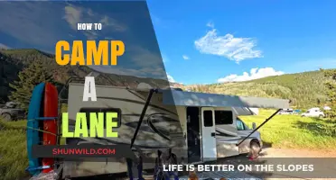 Mastering Lane Dominance: Essential Tips for Effective Camping Strategies
