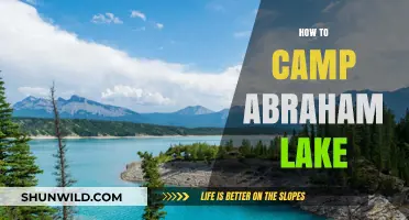 Camping Abraham Lake: Essential Tips for a Safe & Memorable Adventure