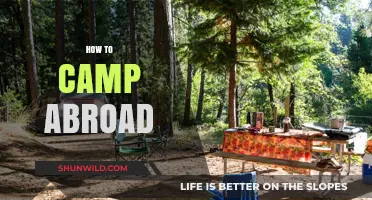 Essential Tips for Camping Abroad: Plan, Pack, and Explore Confidently