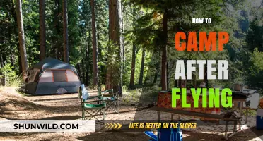 Camping Post-Flight: Essential Tips for a Seamless Adventure After Flying