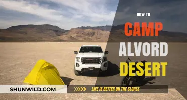 Camping Alvord Desert: Essential Tips for an Unforgettable Adventure