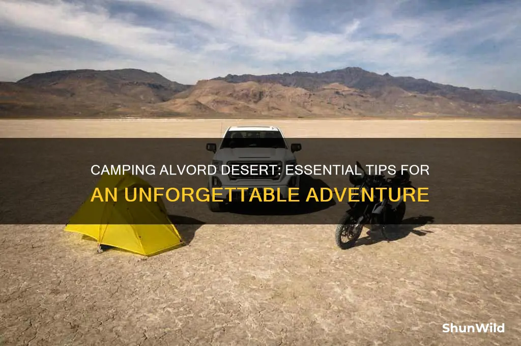 how to camp alvord desert