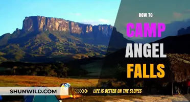Camping Angel Falls: Essential Tips for an Unforgettable Adventure