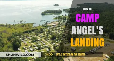 Conquering Angel's Landing: A Camper's Guide to Zion's Hidden Gem