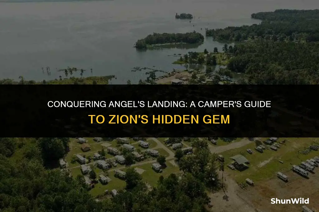 how to camp angel