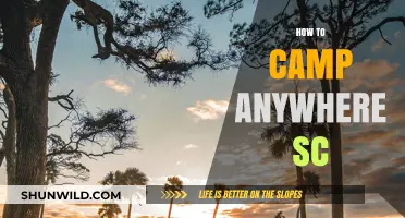 Camping in South Carolina: Tips for Finding the Perfect Spot