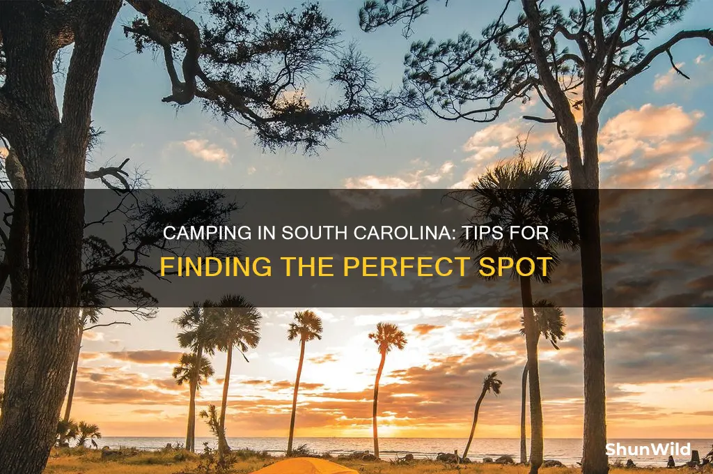 how to camp anywhere sc