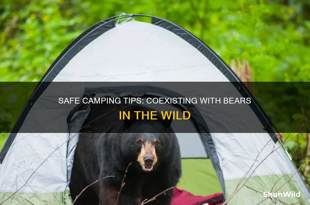 how to camp around bears