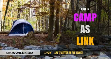 Mastering the Wild: Camping Tips Inspired by Link's Adventures