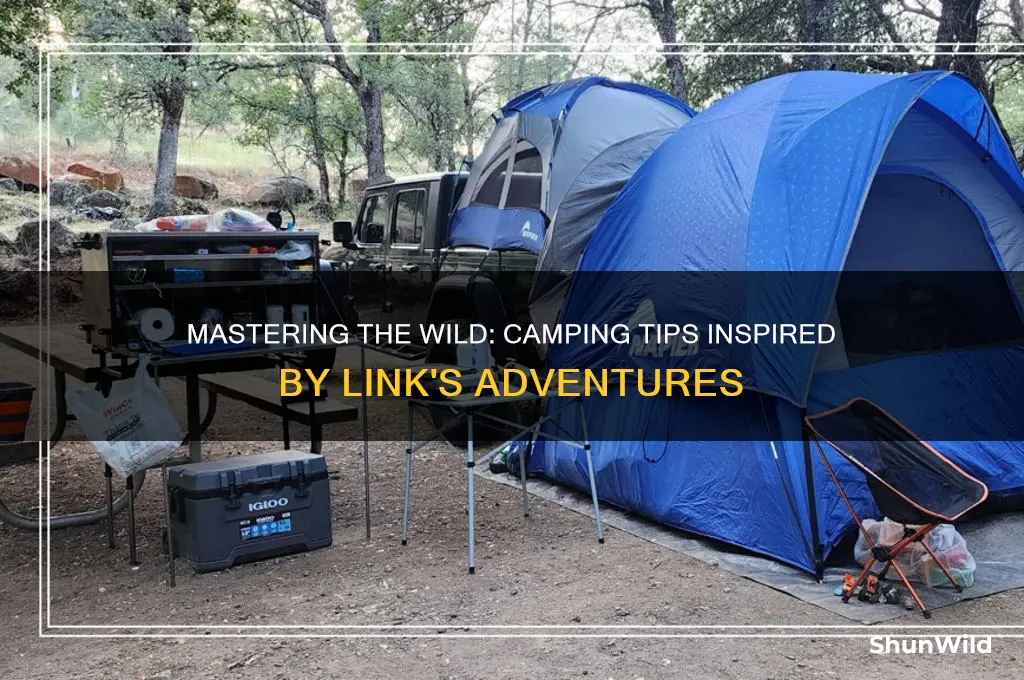 how to camp as link