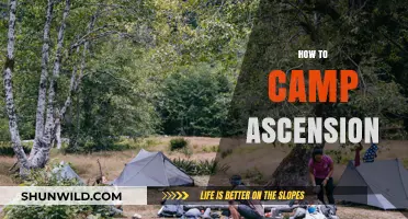Mastering Camp Ascension: Essential Tips for an Unforgettable Adventure
