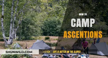 Mastering Camp Ascensions: Essential Tips for Safe and Successful Climbs