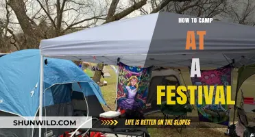 Festival Camping 101: Your Ultimate Guide to Comfort and Fun