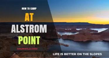 Essential Tips for Camping at Alstrom Point: A Beginner's Guide