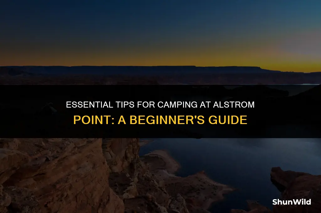 how to camp at alstrom point