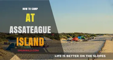 Exploring Assateague Island: A Camper's Guide to Wild Horses and Scenic Trails