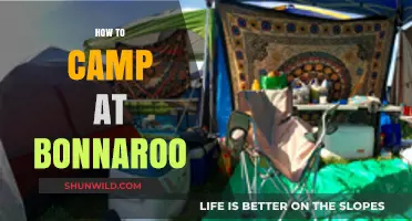 Master Bonnaroo Camping: Essential Tips for a Memorable Festival Experience