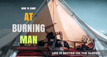 Desert Dreams: A Beginner's Guide to Camping at Burning Man