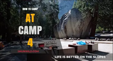 Mastering the Art of Camping at Camp 4: Tips and Tricks
