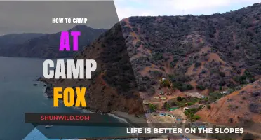 Essential Tips for an Unforgettable Camping Experience at Camp Fox