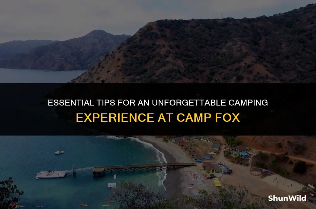 how to camp at camp fox