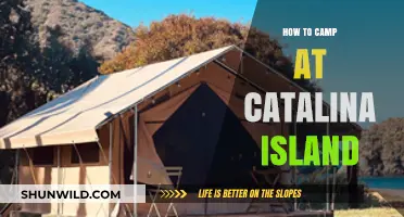 Exploring Catalina Island: A Beginner's Guide to Camping Adventures