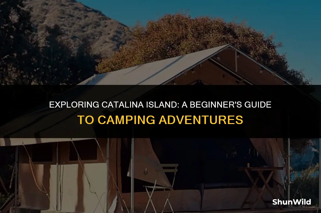 how to camp at catalina island