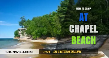 Chapel Beach Camping: A Beginner's Guide to Coastal Adventures