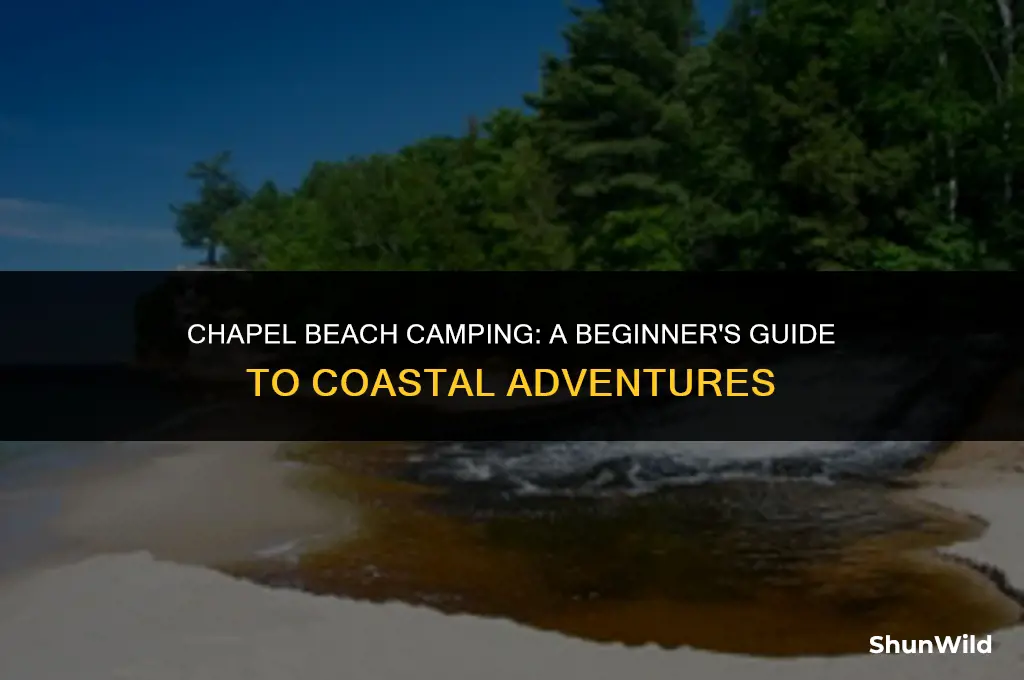 how to camp at chapel beach