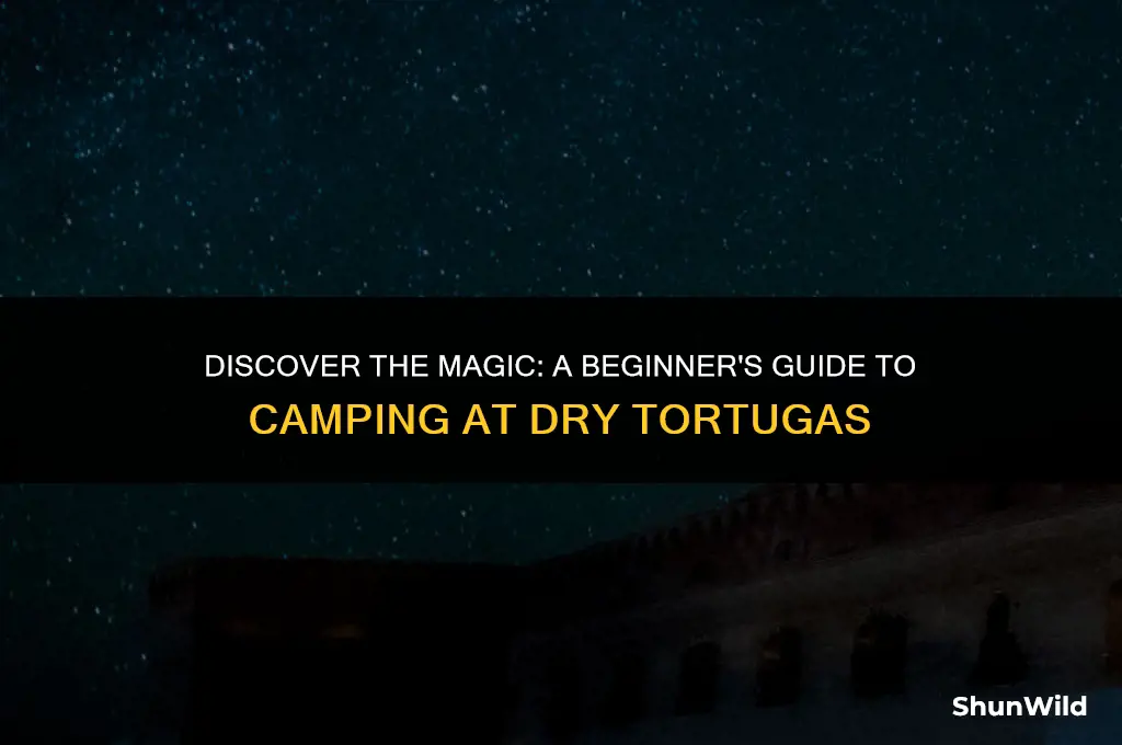 how to camp at dry tortugas