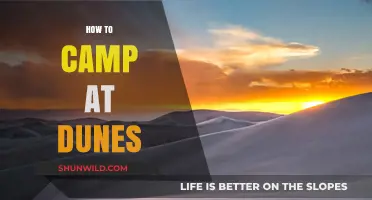 Mastering Dune Camping: Essential Tips for a Desert Adventure