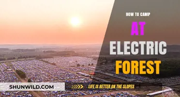 Essential Tips for an Unforgettable Electric Forest Camping Experience