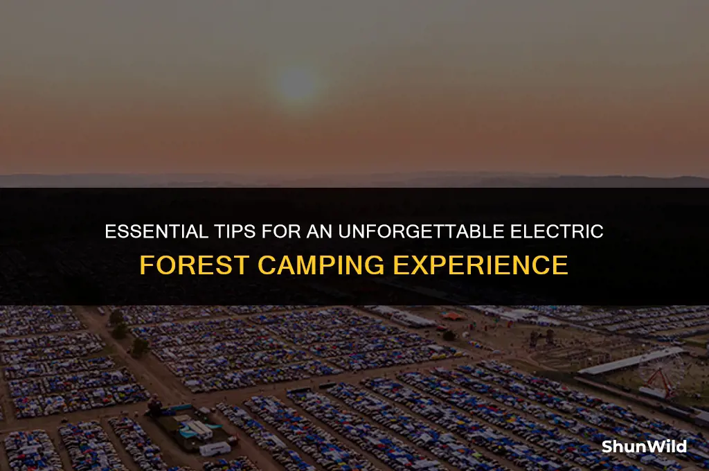 how to camp at electric forest