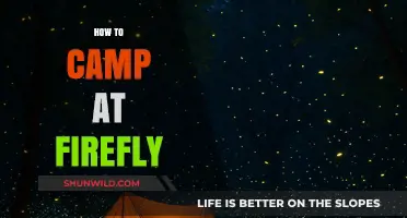 Mastering Firefly Camping: Essential Tips for an Unforgettable Festival Experience