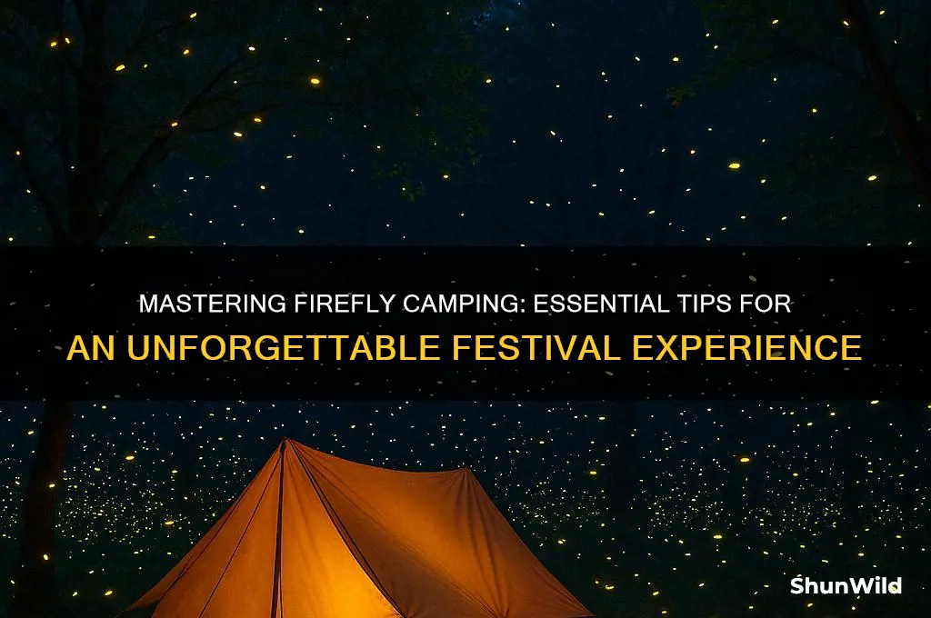 how to camp at firefly