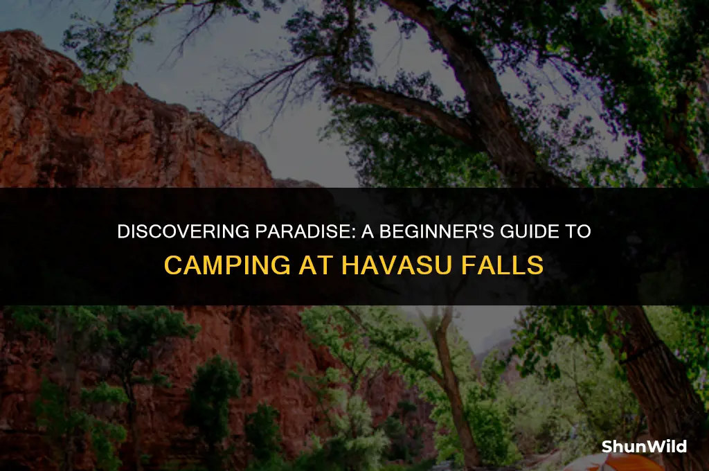 how to camp at havasupai falls