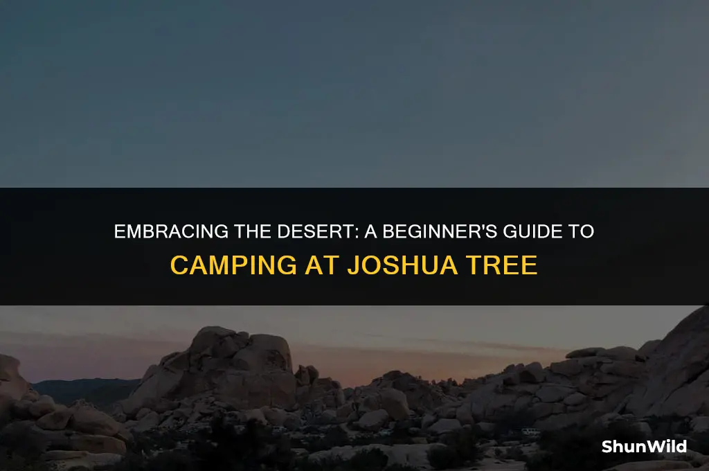 how to camp at joshua tree