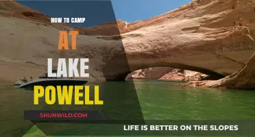 Exploring Lake Powell: A Beginner's Guide to Camping Bliss