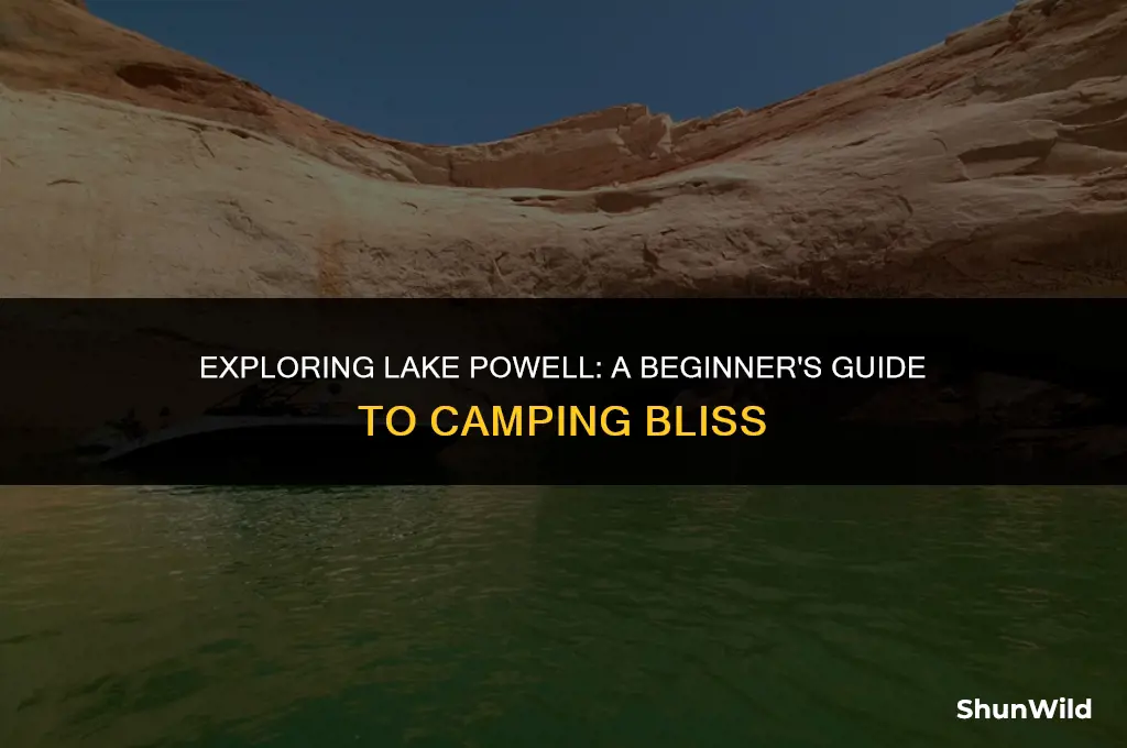 how to camp at lake powell