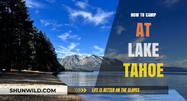 Essential Tips for an Unforgettable Camping Experience at Lake Tahoe