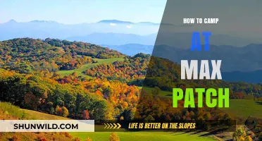Max Patch Camping Guide: Tips for an Unforgettable Outdoor Adventure
