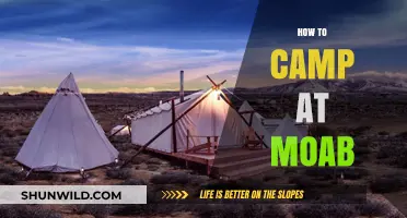 Ultimate Guide to Camping in Moab: Tips, Locations, and Essentials